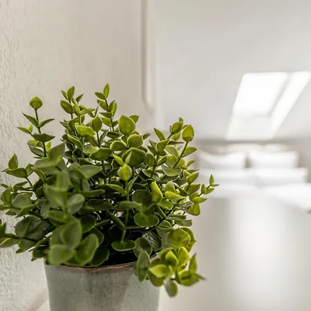 Helles Rooftop Serviced An Der Schweizer Grenze Appartement Kussaberg