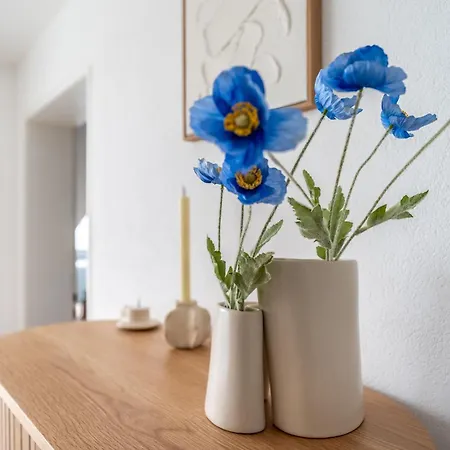 Helles Rooftop Serviced An Der Schweizer Grenze Appartement *