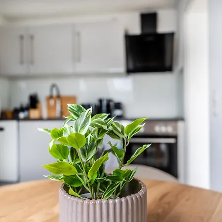 Apartment Helles Rooftop Serviced An Der Schweizer Grenze *