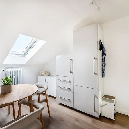 Helles Rooftop Serviced An Der Schweizer Grenze *