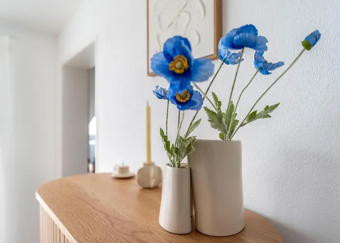 Helles Rooftop Serviced An Der Schweizer Grenze Apartment *