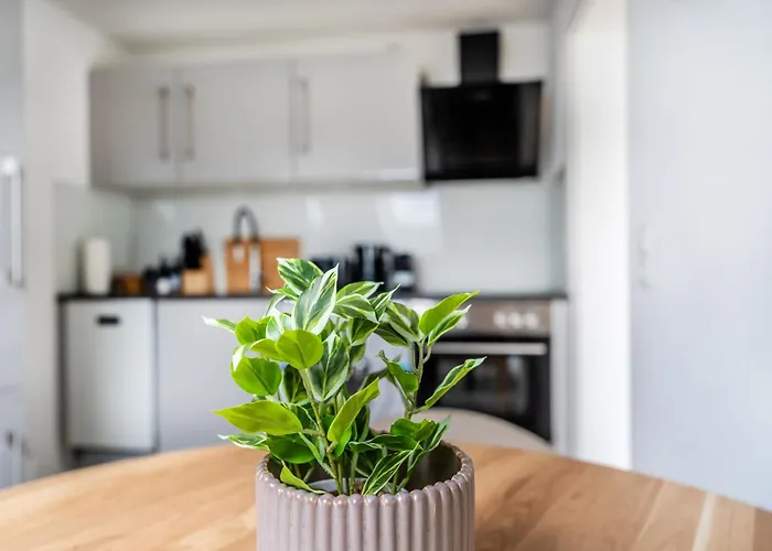 Appartement Helles Rooftop Serviced An Der Schweizer Grenze *