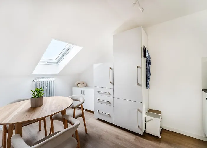 Helles Rooftop Serviced An Der Schweizer Grenze *